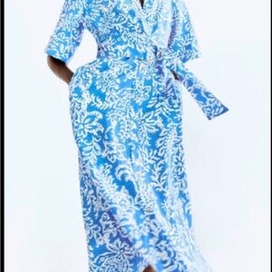 Zara Elegant Blue and White Linen Blend Floral Dress